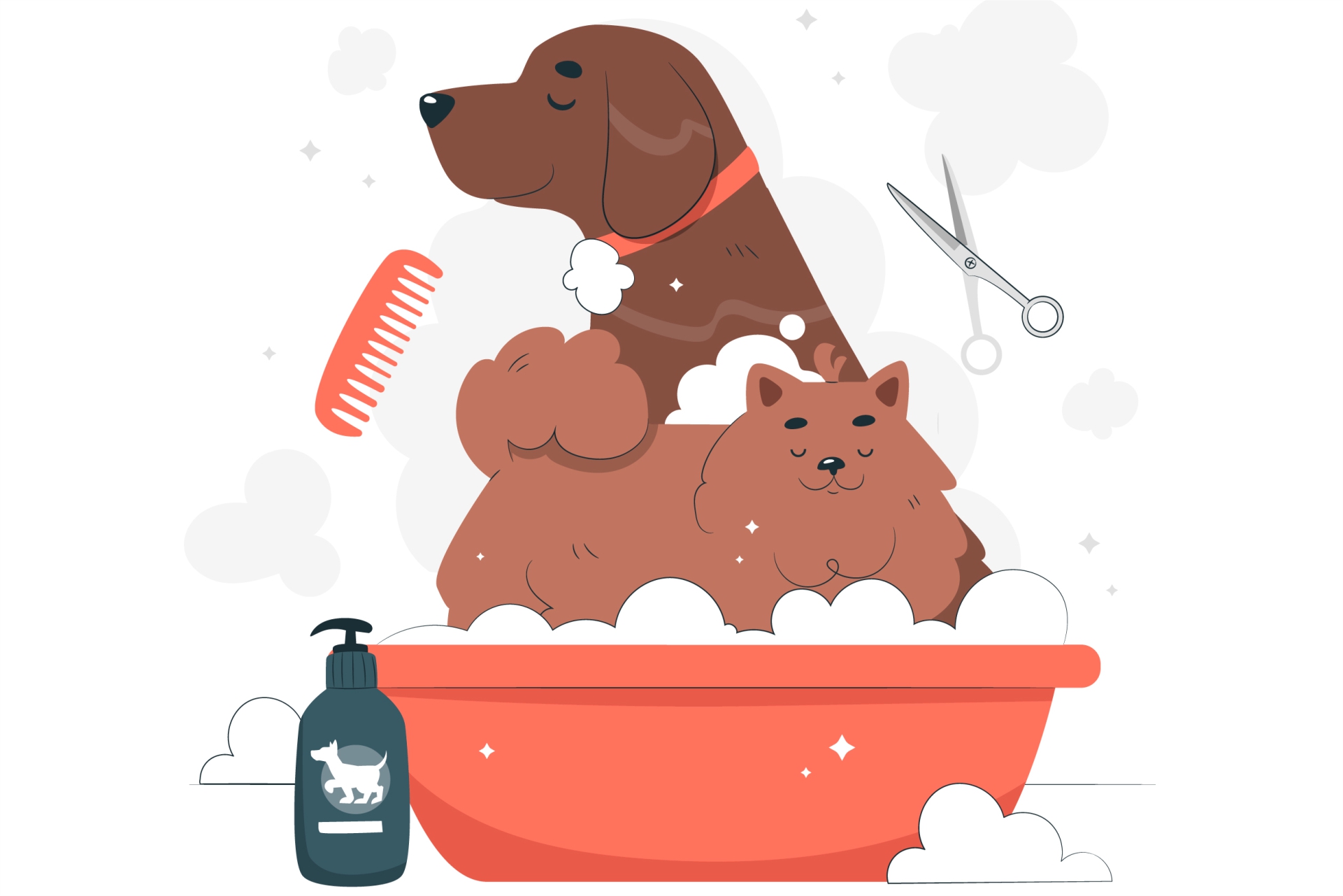 Pet Care