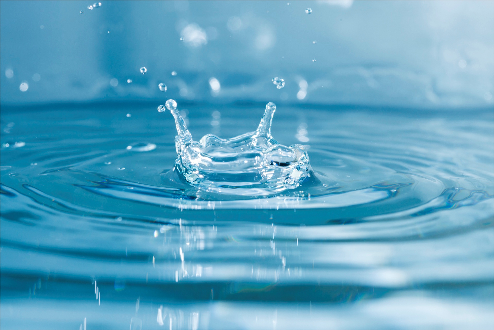 Water-Based